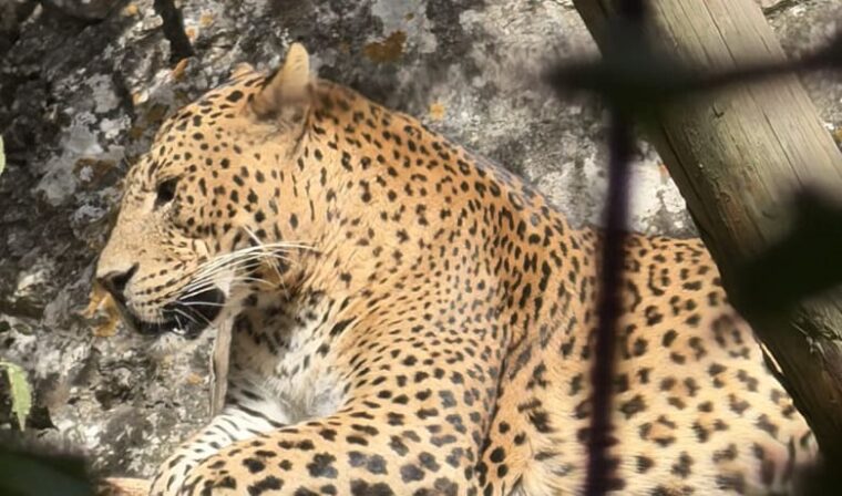 JOURNEE D&rsquo;INTEGRATION DES 6EMES AU ZOO DE LA BARBEN